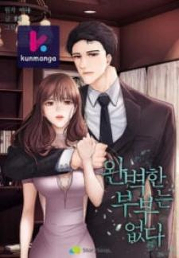 There Is No Perfect Married Couple nº 1 cover